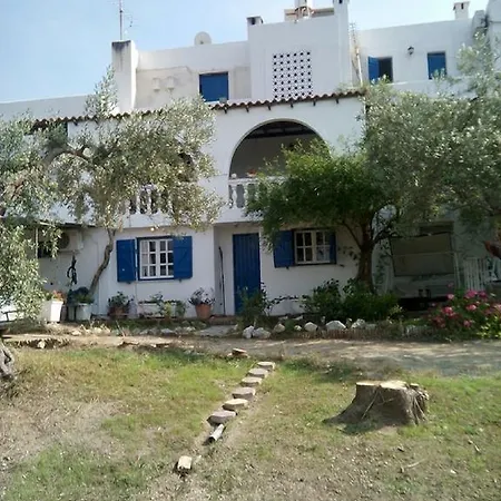 The Olive Branch Apartment